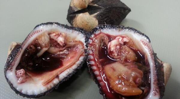 Almejas de sangre